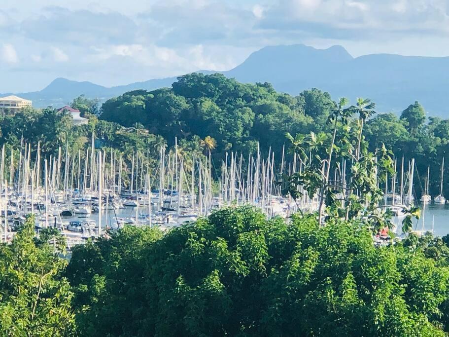 Ti Zaboka Chalet , Spa Privatif Les Abymes Εξωτερικό φωτογραφία